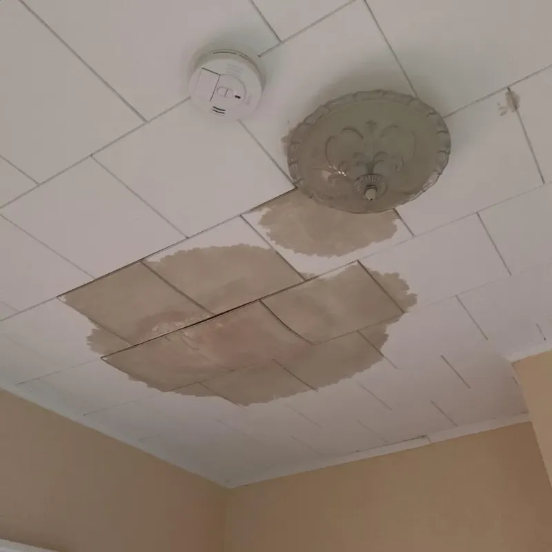 Ceiling Water Damage Repair in Elkhorn, NE